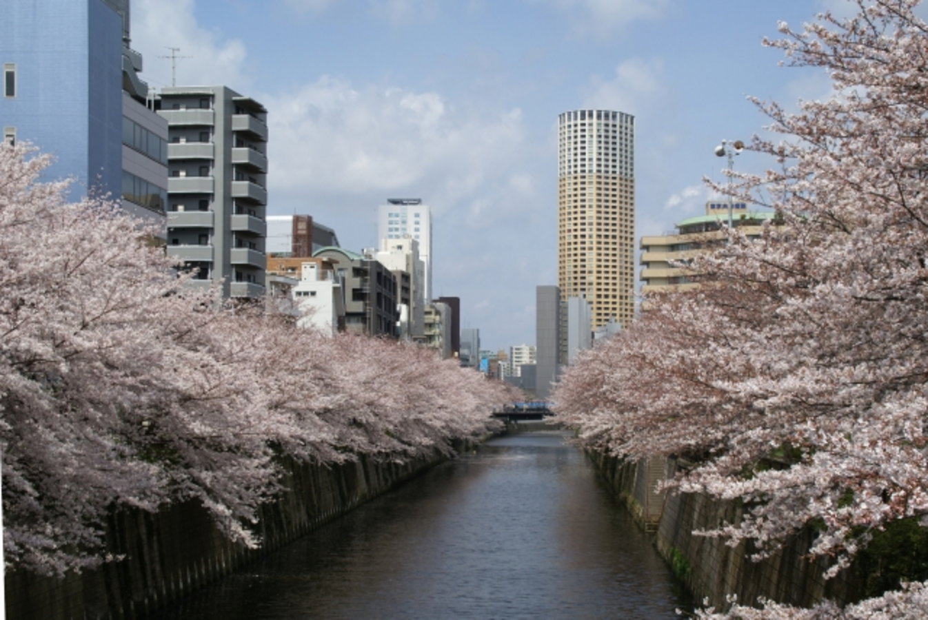 東京23区住みやすさランキング1位!「遊びに行く街」と「住みたい街」を両立している目黒区