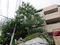 赤坂氷川町パーク・マンションの写真_1_thumbnail