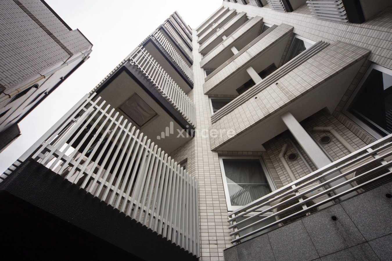 ドゥーエ学芸大学2の写真