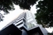 THE ROPPONGI TOKYOの写真_5_thumbnail