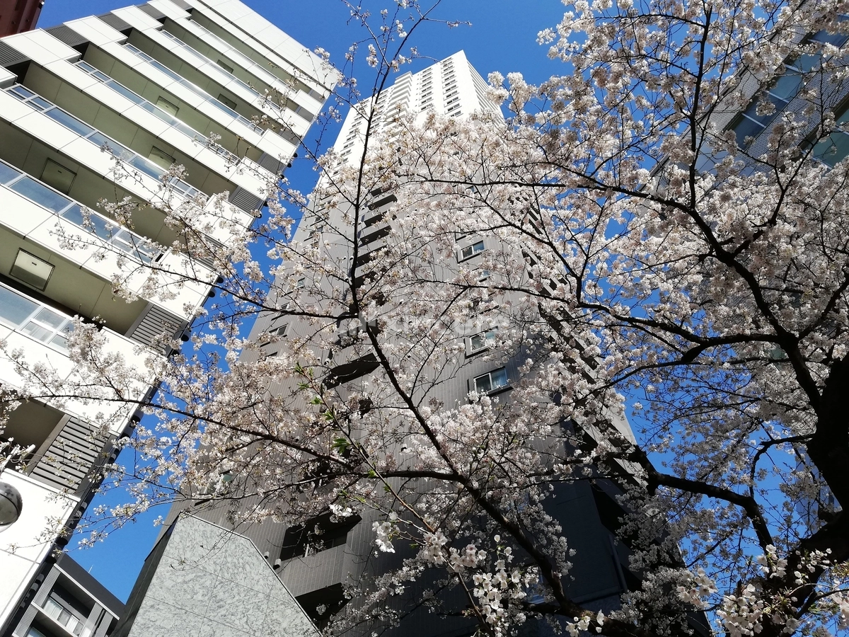 ファーストリアルタワー新宿の写真