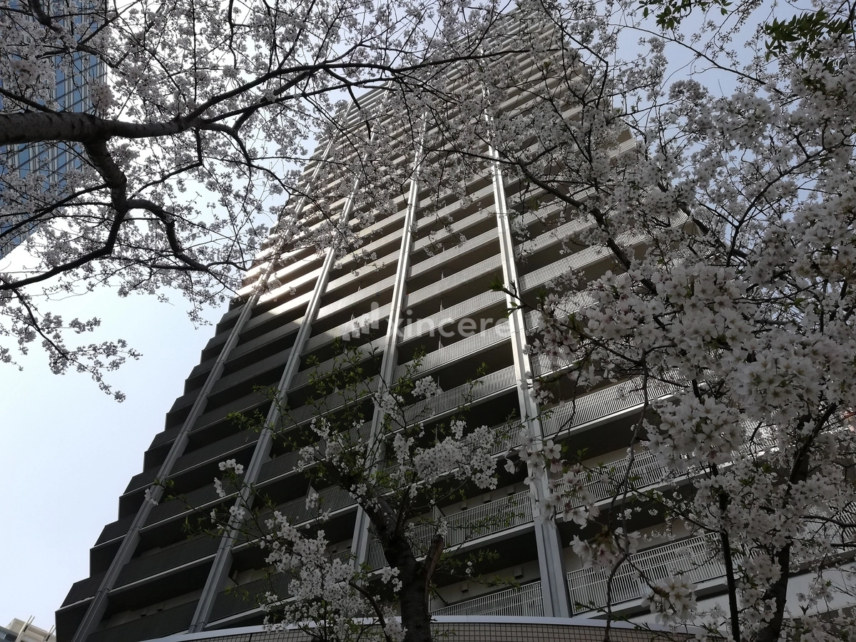 アートヴィレッジ大崎ビュータワーの写真