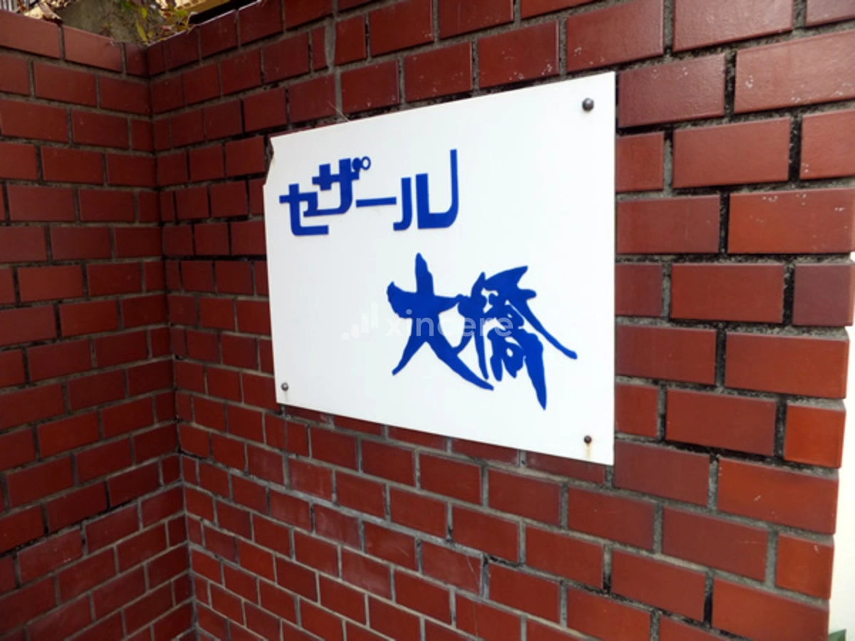 セザール大橋の写真