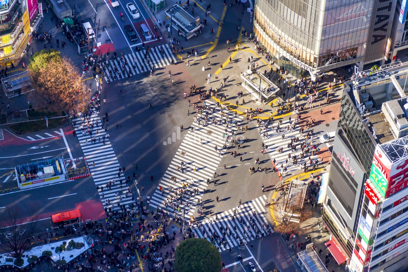 渋谷区